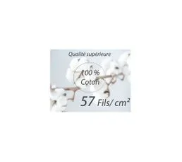 ALPES BLANC Parure De Draps 160 Cm 4 Pièces 100% Coton Eucalyptus Rose