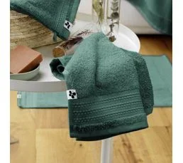 ALTOBUY Serviette Invité 30x50cm En Coton Bio Coloris Emeraude - Emma