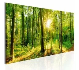 ARTGEIST Tableau Magie Verte 120 X 40 Cm Vert