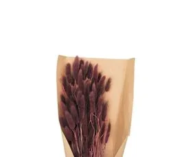 ATMOSPHERA Bouquet De Fleurs Séchées Queue De Lapin Violet D. 18 X H. 58 Cm