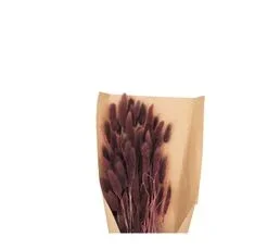 ATMOSPHERA Bouquet De Fleurs Séchées Queue De Lapin Violet D. 18 X H. 58 Cm