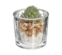 ATMOSPHERA Plante Grasse Artificielle Pot En Verre D 6,5 X H 10 Cm