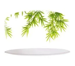 BPS KONCEPT Suspension Bothanica 253-30 Rond Ø 30 Cm Vert