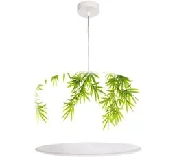 BPS KONCEPT Suspension Bothanica 253-30 Rond Ø 30 Cm Vert