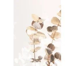 CEANOTHE Tableau Sur Toile Charme Clair 100x140 Cm Naturel   Beige