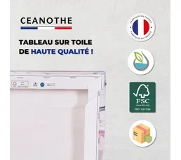 CEANOTHE Tableau Sur Toile Planche De Surf Abandonnée 45x45 Cm Naturel   Bleu
