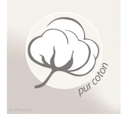 LINNEA Lot De 6 Serviettes Invité 30x50 Cm Alpha Ivoire