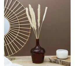 Lot De 6 Herbes De Pampa "séchées" 60cm Beige