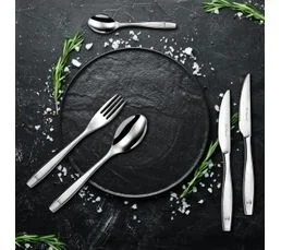 LOU LAGUIOLE Figure Miroir - Ménagère 50 Pièces