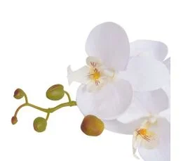 Plante Artificielle Avec Pot Orchidée 75 Cm Blanc Dec021906
