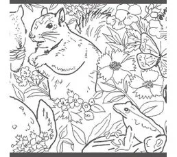 ROOMMATES Frise Animaux De La Fôret