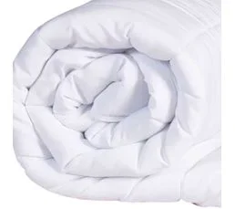 TERRE DE NUIT Pack Couette Mi-saison 140x200cm + Oreiller Anti-punaises Moelleux Enveloppe Microfibre