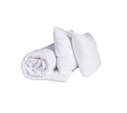 TERRE DE NUIT Pack Couette Mi-saison 140x200cm + Oreiller Anti-punaises Moelleux Enveloppe Microfibre