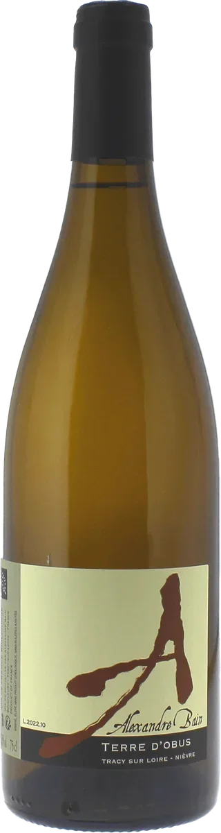 TERRE D'OBUS ALEXANDRE BAIN 2022